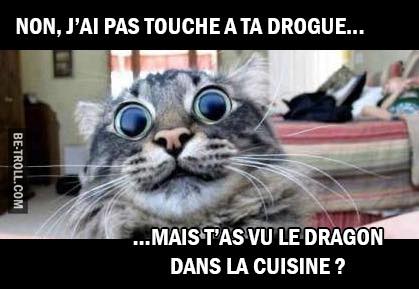 Non je n'ai pas touché à ta drogue   mais tu as vu le dragon dans la cuisine