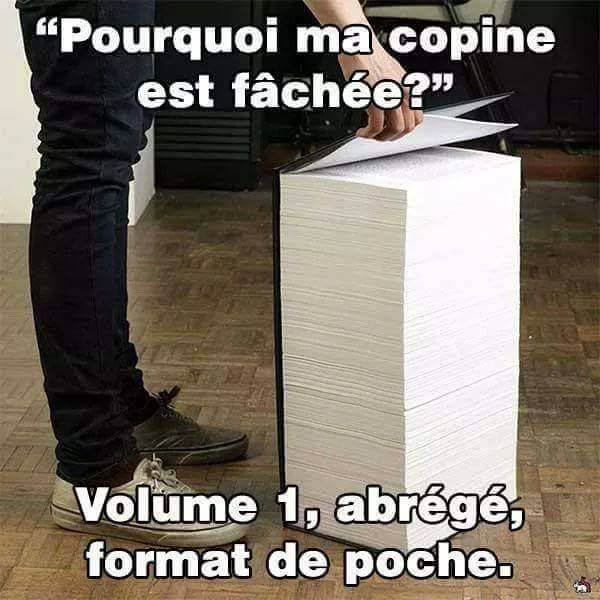 Pourquoi ma femme est faché   Tome 1 livre de poche