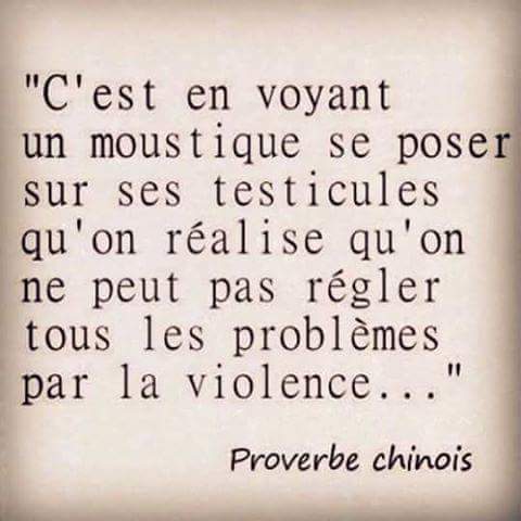 Proverbe Chinois c'est un moustique qui se pose sur les couille que l'on dit qu'il ya d'autre moyen que la violence