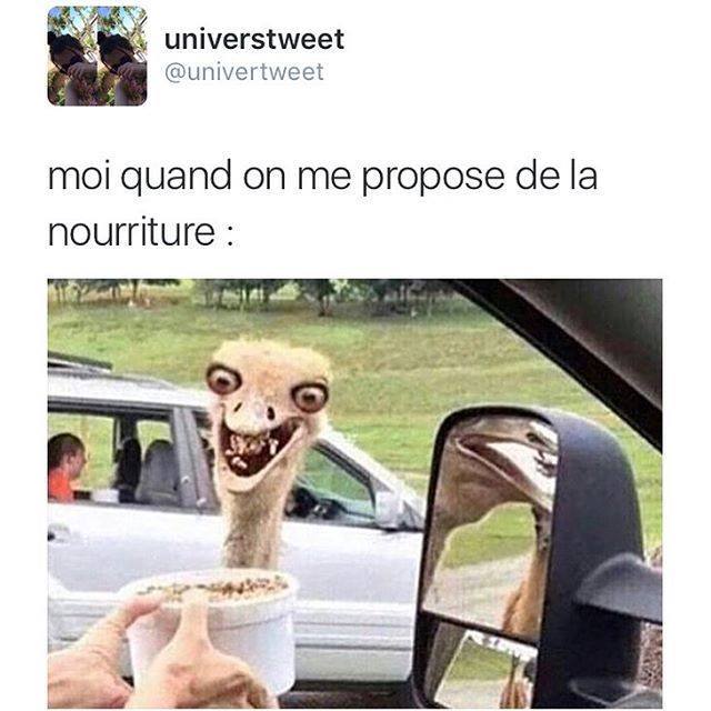 Quand On Propose De La Nourriture