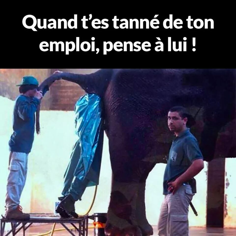 Travail   blague   quand t'es tanné de ton emploi pense à lui