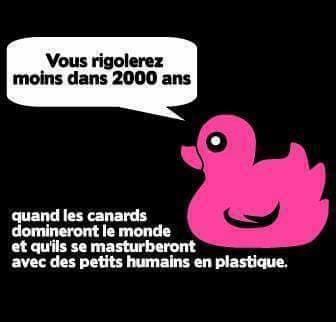 Vous rigolerez moin dans 2000 ans quand les canards domineront les mondes et se masturberont sr des humains en pastiques