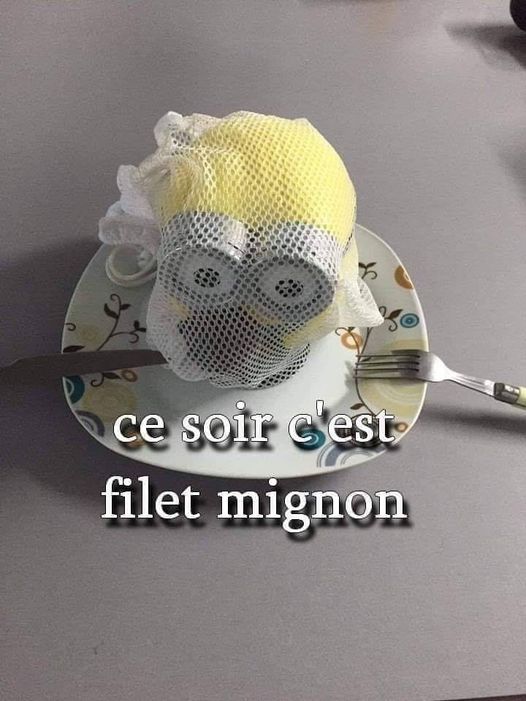 Blague   jeux d'image et d emot   ce soir c'est filet mignon