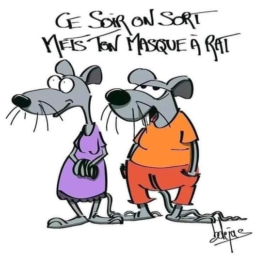 Blague   jeux de mot   ce soir on sort mets ton masque à rat