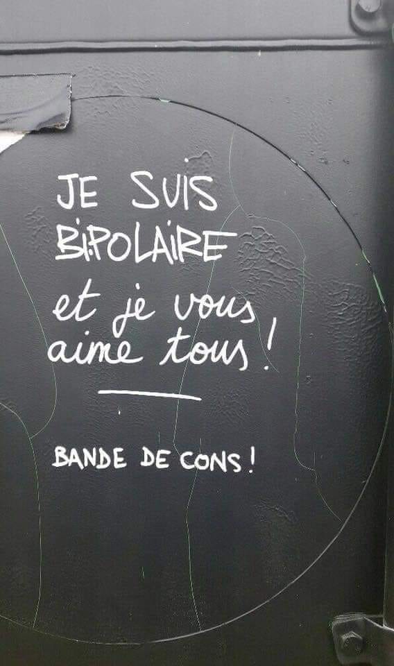 Blague   jeux de mot   je suis bipolaire et je vous aime tous bande de cons