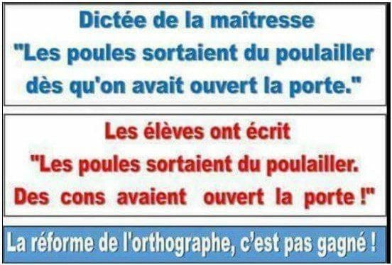Blague   jeux de mot   les poules sortaient du poulailler dès qu'on avait ouvert la porte