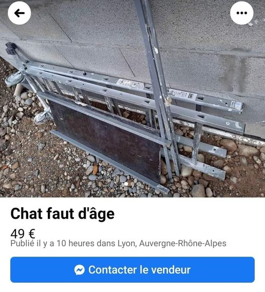 Blague   jeux de mot   objet  a vendre   chat faut d'âge