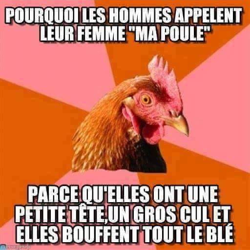 Blague   jeux de mot   pourquoi les hommes appelent leur femme ma poule parce qu'elles ont une pette tête un gros cul et elles bouffent tout ton blé