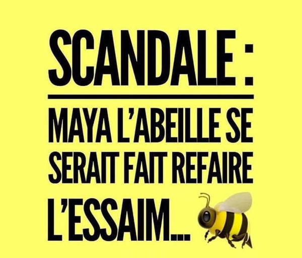 Blague   jeux de mot   scandale   maya l'abeille se serait fait refaire l'essaim=les seins