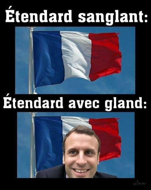 Blague   jeux de mot   étendard sanglant   étendard avec gland