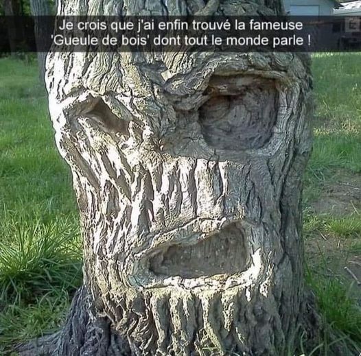 Blague   jeux de mot et d'image   j'ai trouvé enfin ce que l'on appelle avoir la gueule de bois