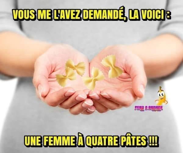 Blague   jeux de mot et d'image   vous me l'avez demandé,la voiçi , une femme à quatre pates