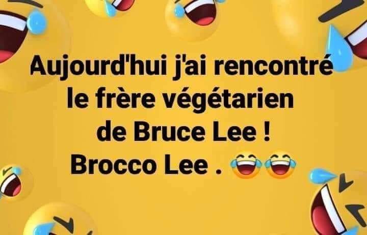 blague   jeux de mot   aujourd'hui, j'ai rencontré le frère végétarien de bruce lee,Brocco Lee