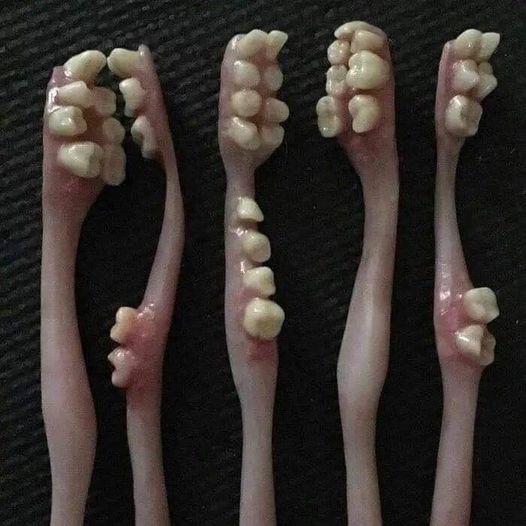 blague   jeux de mot et jeux d'image   brosse à dent