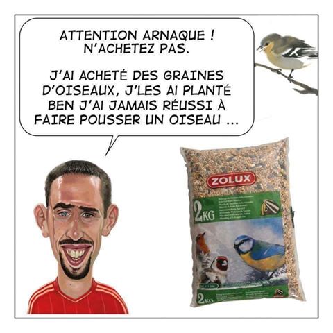 Arnaque   Humour   j'ai acheté des graines d'oiseau  je les ai planté   aucun oiseau n'est sorti