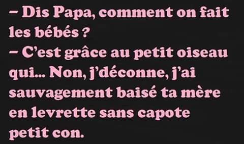 Bébé   humour   dis papa coment n fat les bébé   j'ai sauvagement baisé ta mère en lévrette petit con