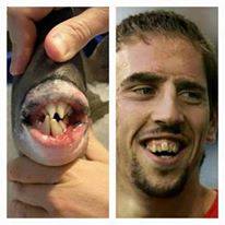 Dans d'un poisson et de ribery