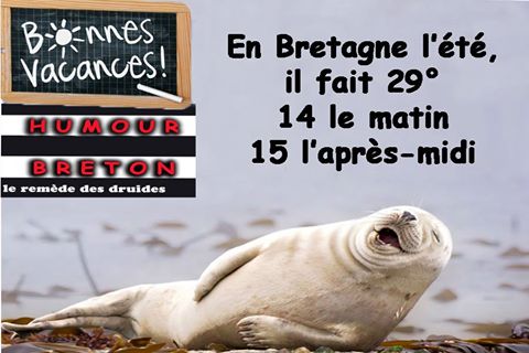 Humour   En Bretagne Il Fait 29 Degré Oui 14 ° Le Matn Et 15 ° L'Après Midi