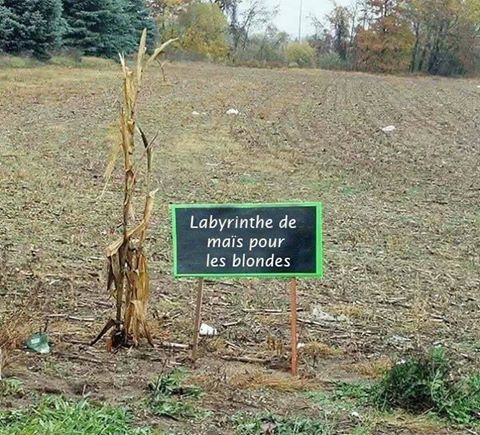 Humour   blague   labyrinthe pour blande