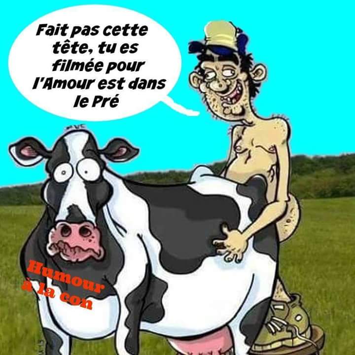 Humour   caricature   ne fait pas cette tête tu es filmé pour l'amour est dans le pré   homme qui encule une vache