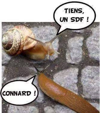 Tiens un SDF   connard