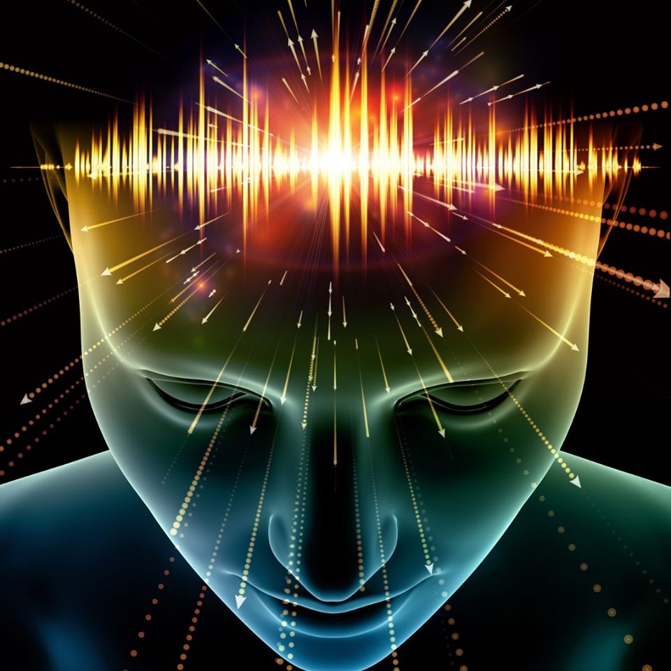 Univers   Caricature   Fréquence