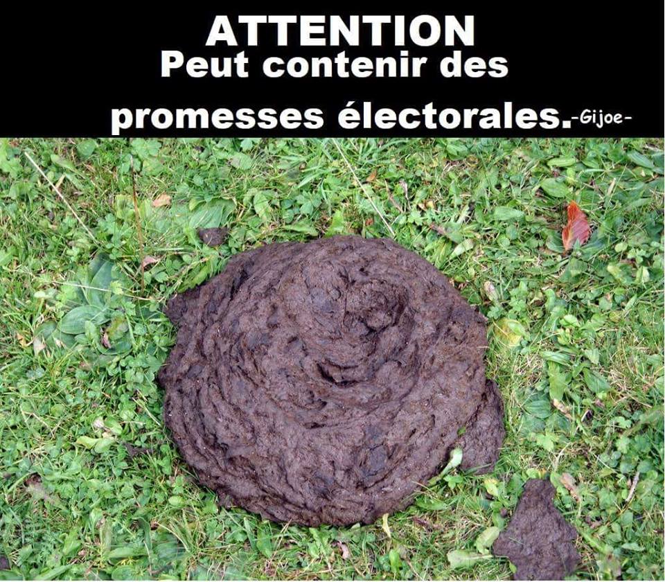 Vote   caricature   merde   attention peut contenir des promesse electoral