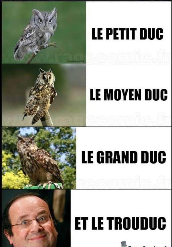 Humour   Le Petit Duc Le Moyen Duc Le Grand Duc Et Le Trou Duc