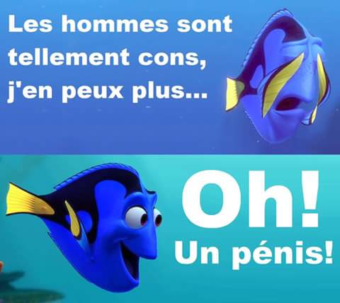 Humour   les hommes sont tellement cons   oh un pénis