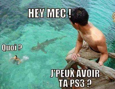 Humour   mec dans l'eau avec un requin derrière lui   he mec   quoi   je peux avoir ta ps3