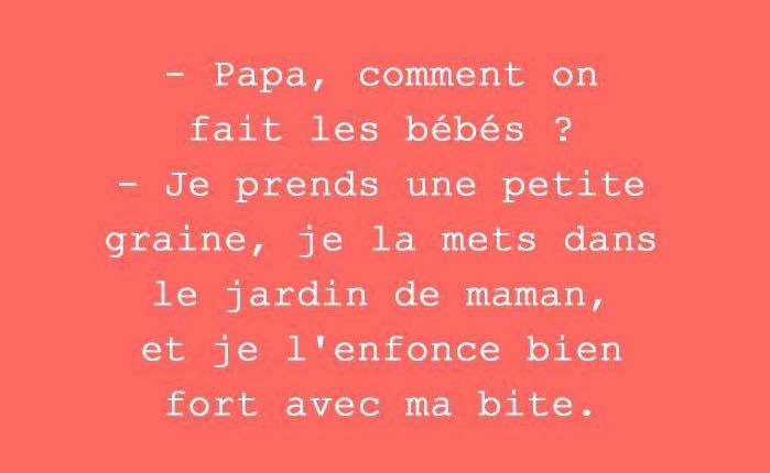 Humour   papa comment on fait les bébés je prend une graine je la et dans le jardin de maman et je l'enfonce bien fort avec ma bite