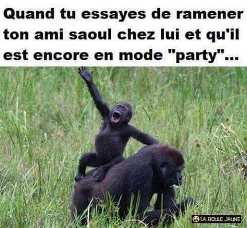 Humour   quand tu essaye de rentrer ton ami soul et qu'il est encore en mode party