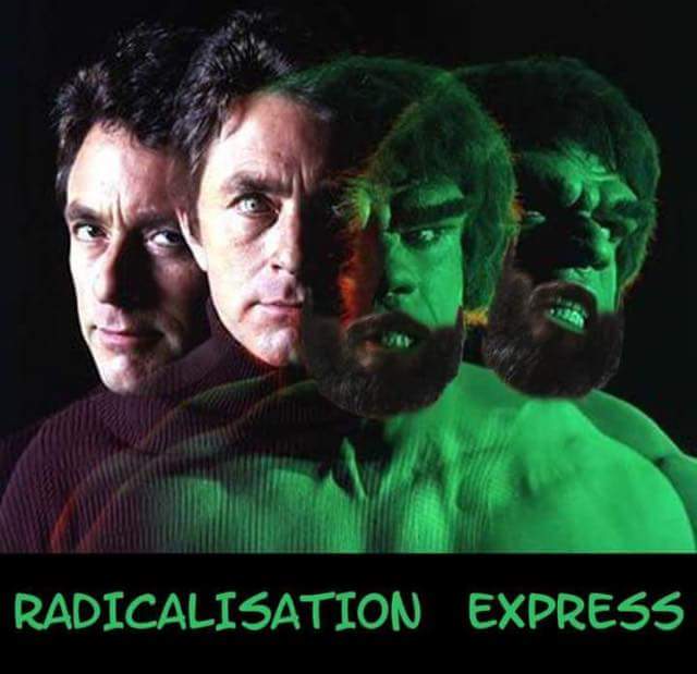 Humour   radicalisation   transformation hulk