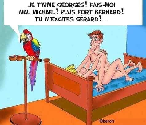 Humour   sexe   Perroquet