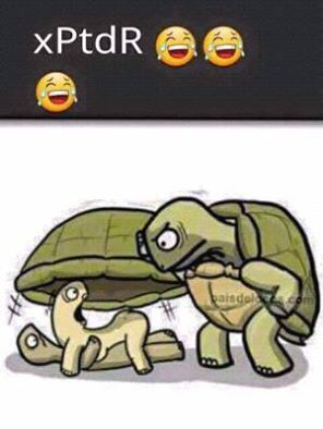 Humour   tortue