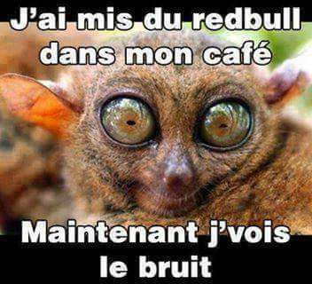 J'ai mis de la redbull dans mon café maintenant je vois le bruit