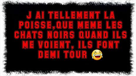 J'ai tellement la poisse que même les chats noirs font demi tour quand ils me voient