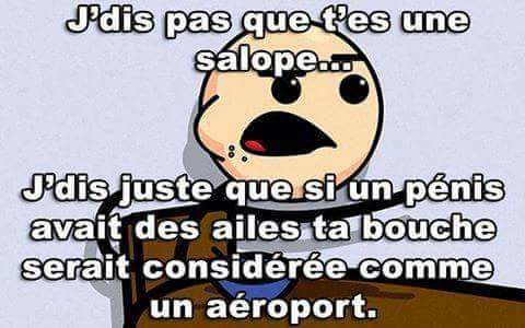 j'ai pas dit que tu était une salope j'ai juste dit que si un pénis avait des aies sur serait un aéroport