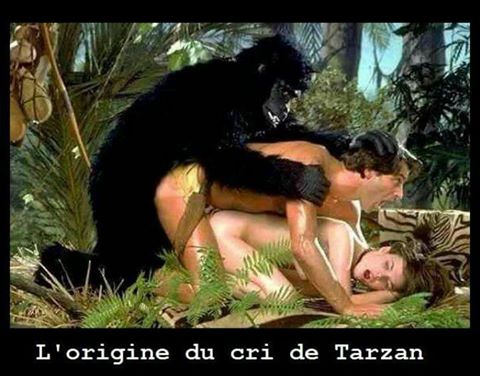 L'origine du cri de Tarzan