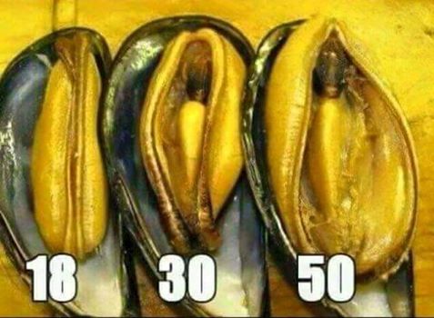 Moules à 18 ans à 30 ans et à 50 ans