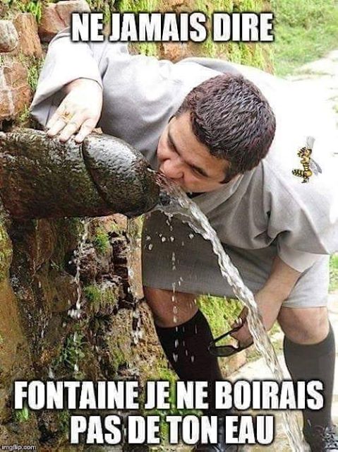 Ne jamais dire   fontaine je ne boierais jamais de ton eau