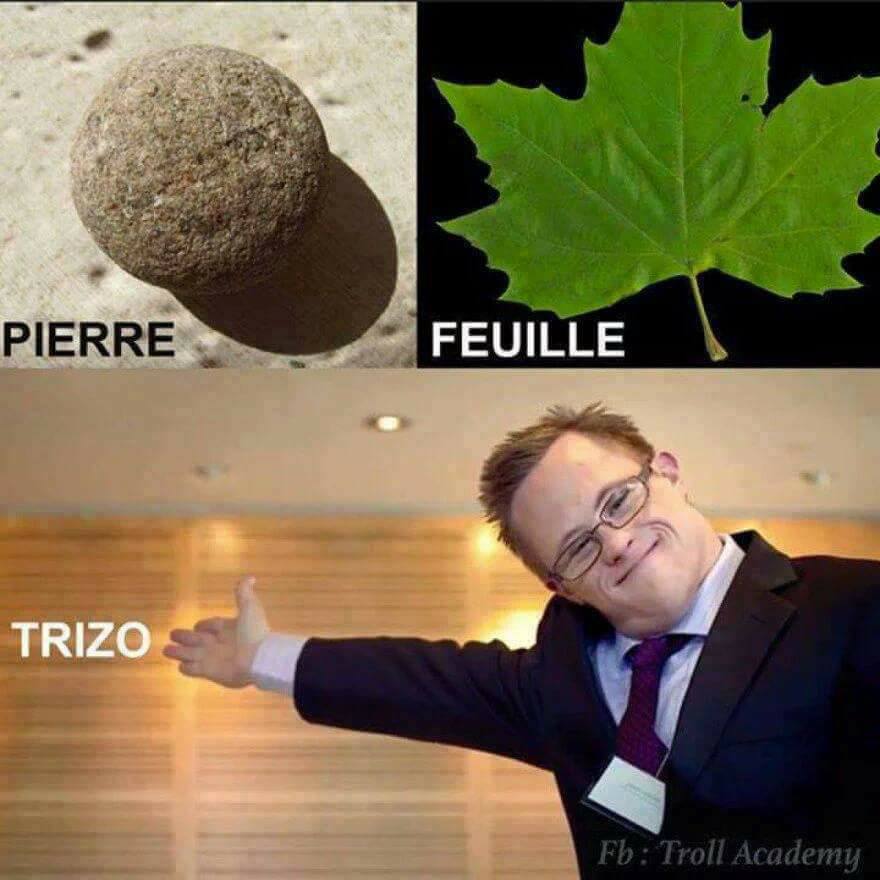 Pierre Feuille Trizo