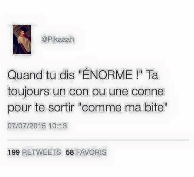 Quand Tu Dis Enorme   Tu As Toujours Un Con Qui Dit   Comme Ma Bite