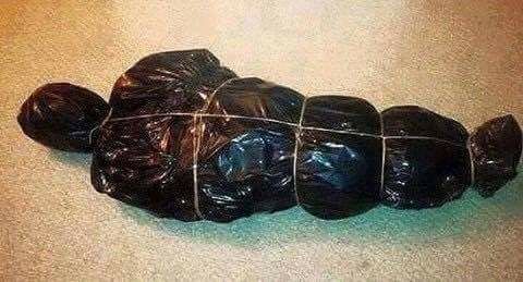 Quand j'ai emballé mon sapin de noël