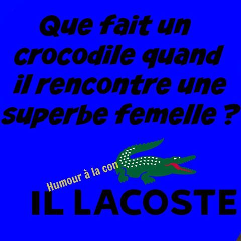 Que fait un crocodile quand il rencontre une femme crocodile   il lacoste