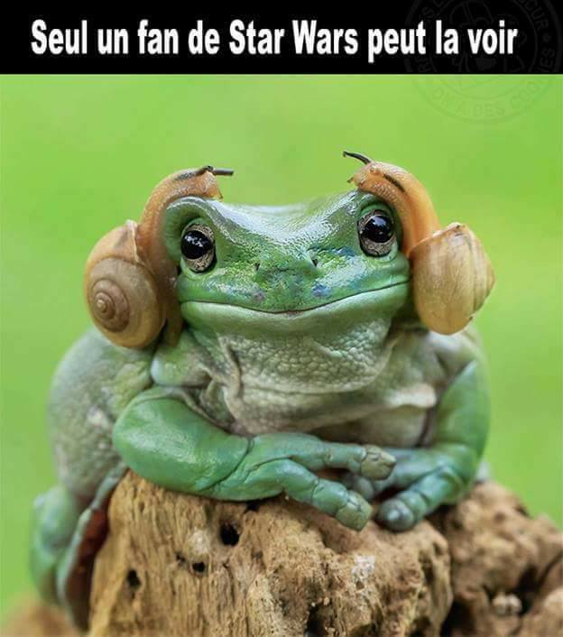 Seul un fan de star war peut la voir