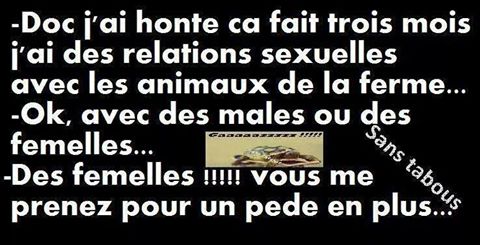 Sexe   humour   je fais l'amour avec mes animaux de ma ferme   avec des male ou femelle   avec des femelle je ne suis pas pd