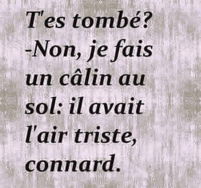 T'Es Tombé Non Je Fais Un Calin Au Sol   Connard