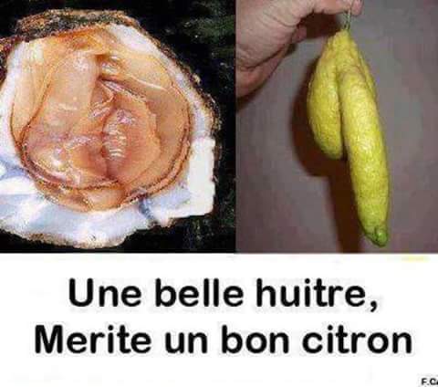 Une Moule Et Un Citron