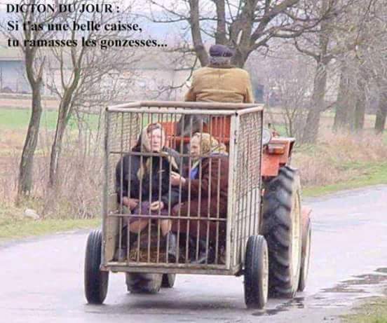 Voiture   humour   quand tu as une belle caisse et que tu ramasse les gonzesses